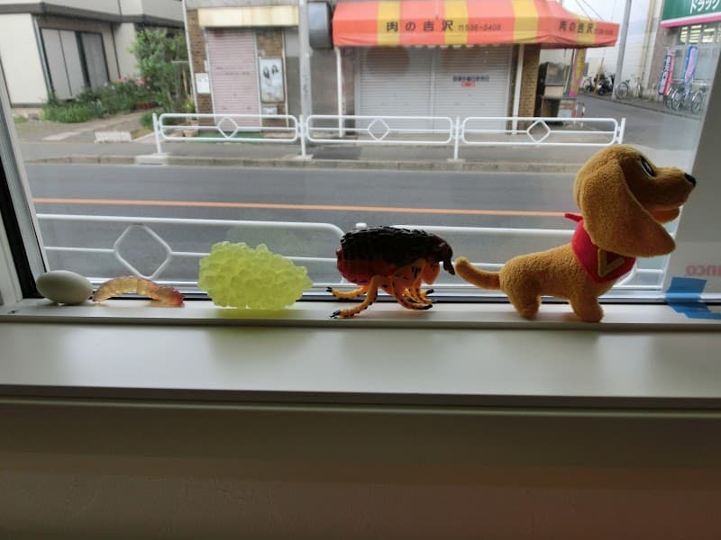 立川プラスワン動物病院