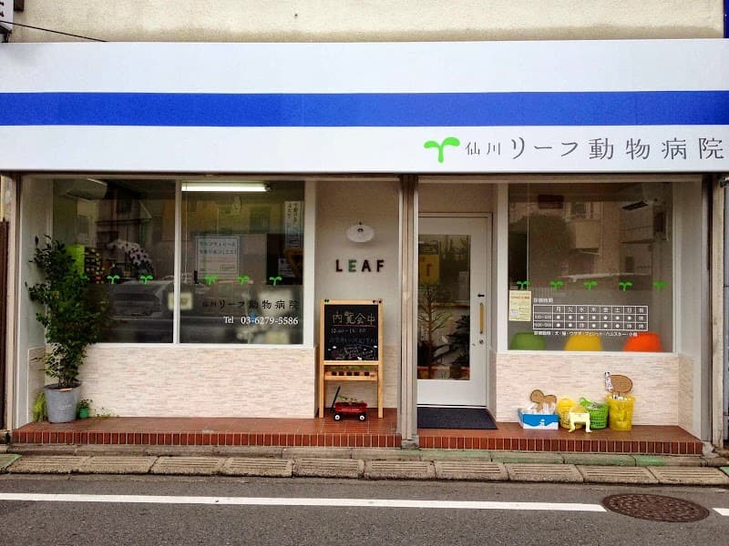 仙川リーフ動物病院