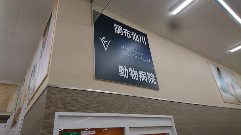 調布仙川動物病院