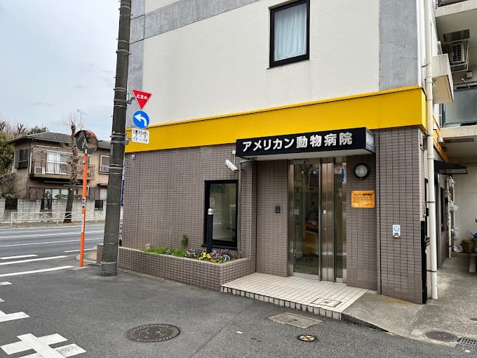 アメリカン動物病院