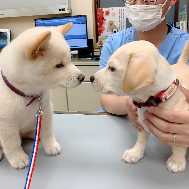 くら動物病院つつじヶ丘