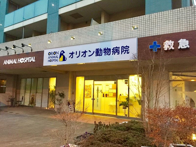 オリオン動物病院