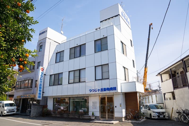 つつじケ丘動物病院