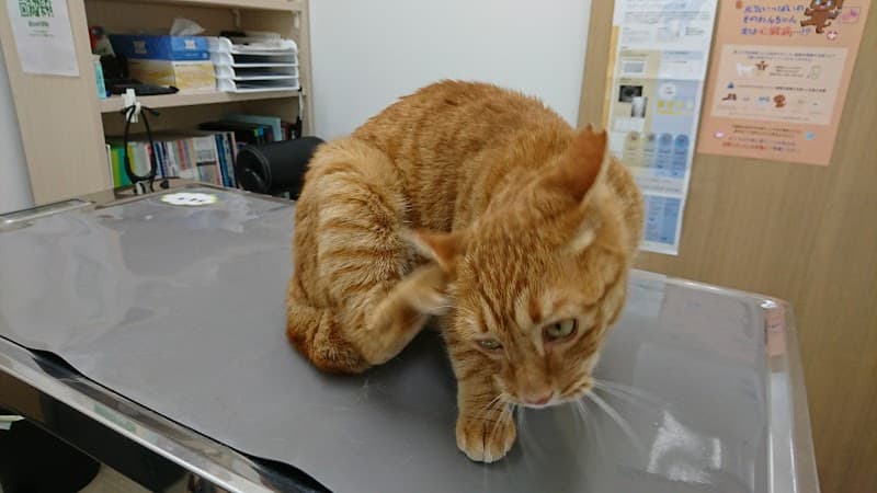 鶴川ペットクリニック