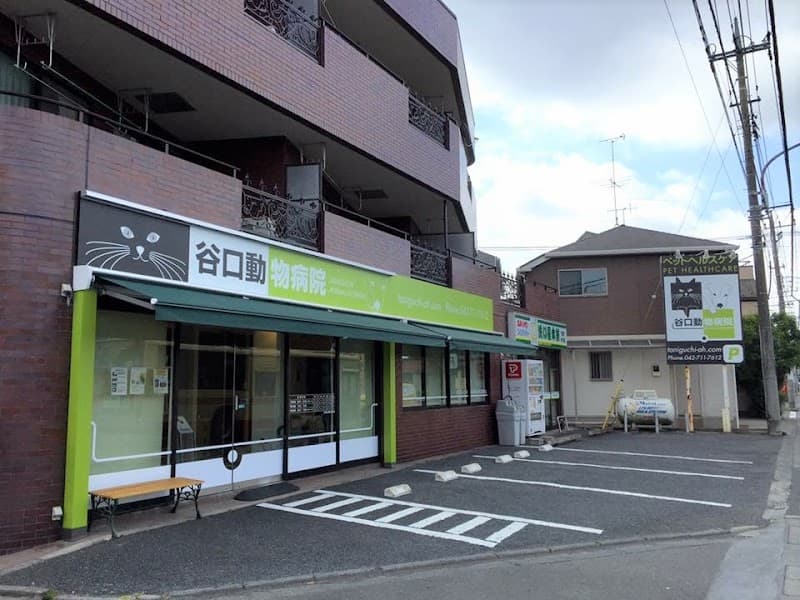 谷口動物病院