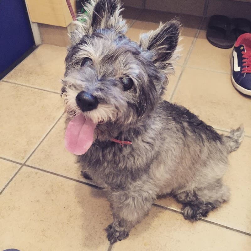 角井ペットクリニック