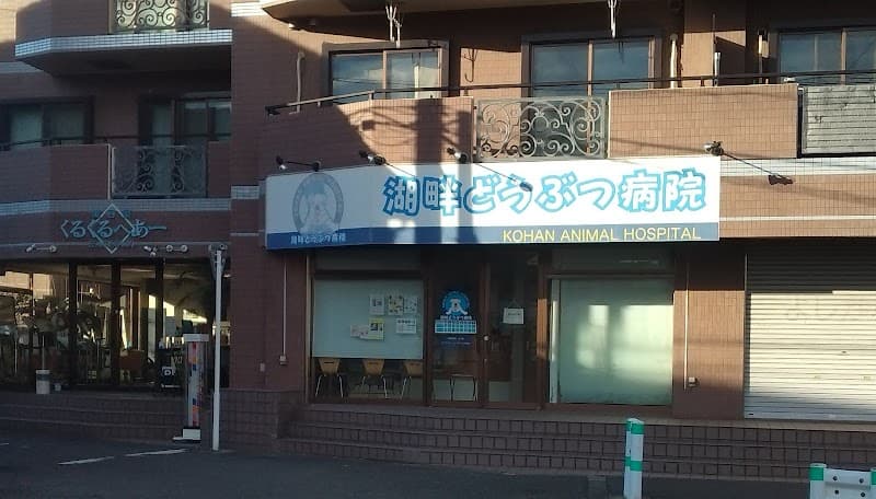 湖畔どうぶつ病院