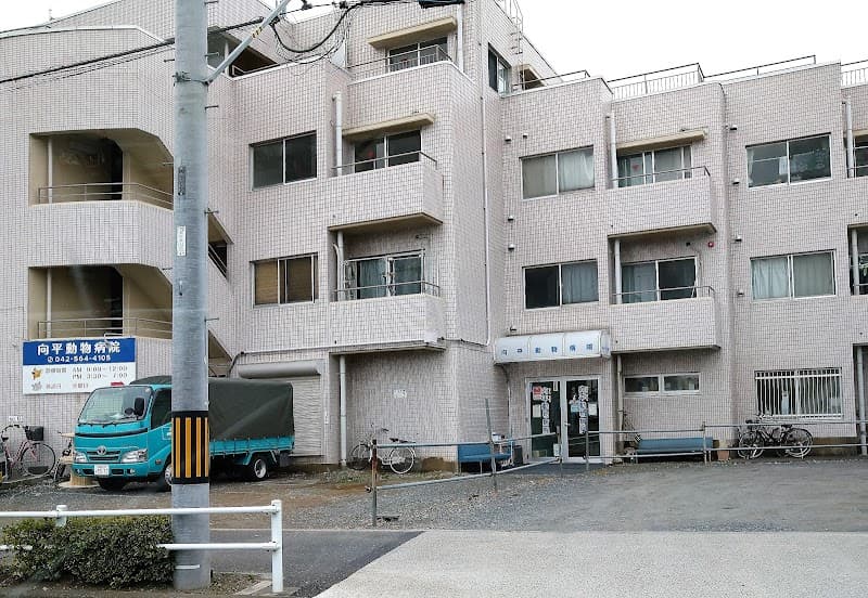 向平動物病院