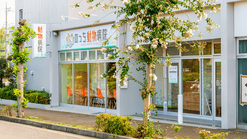 のっち動物病院