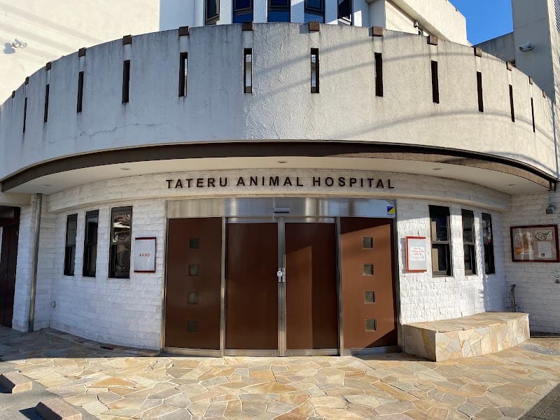 たてる動物病院