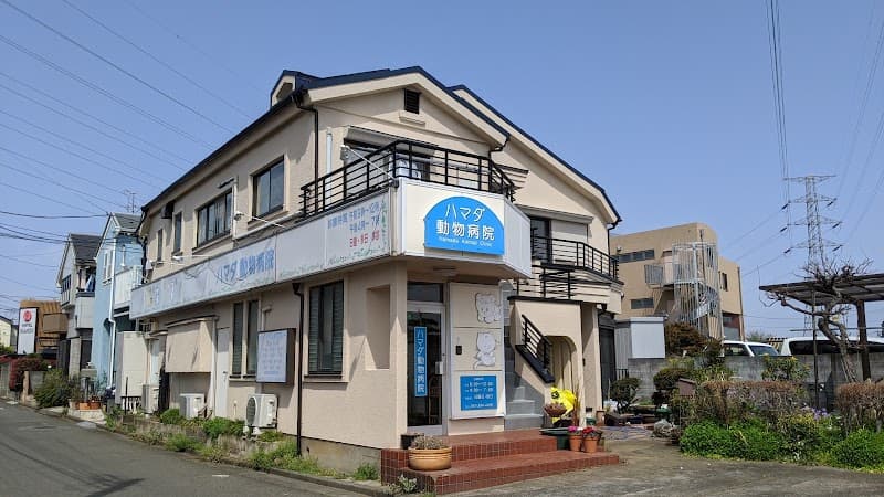 ハマダ動物病院