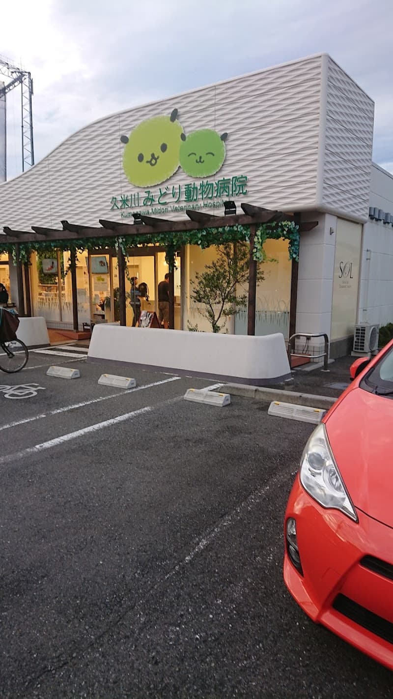 久米川みどり動物病院