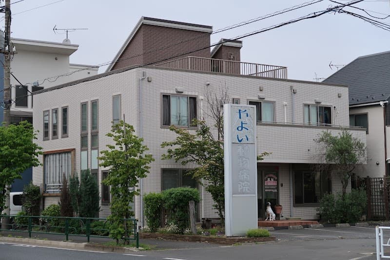 やよい動物病院
