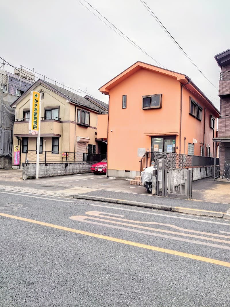 かざま動物病院