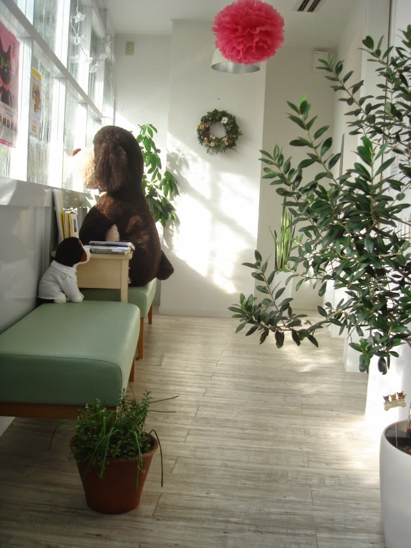 リトルピース動物病院