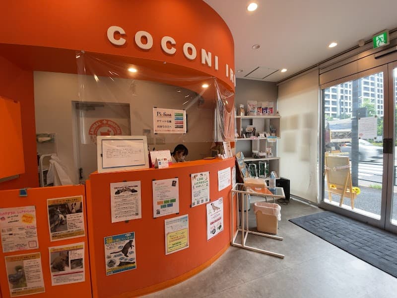 ココニイルどうぶつ病院