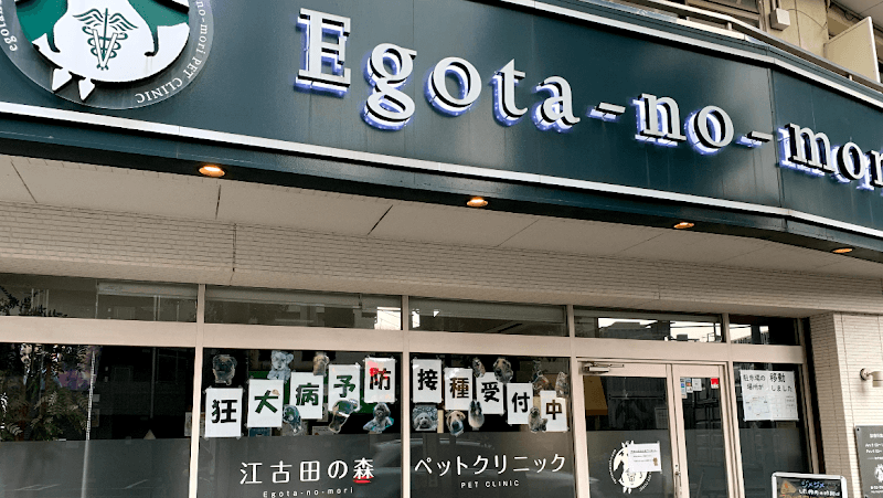 江古田の森ペットクリニック