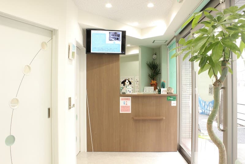 さぎのみや動物病院