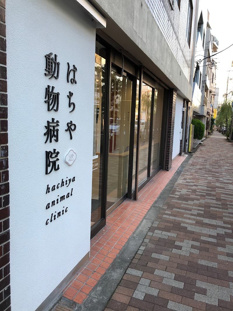 はちや動物病院