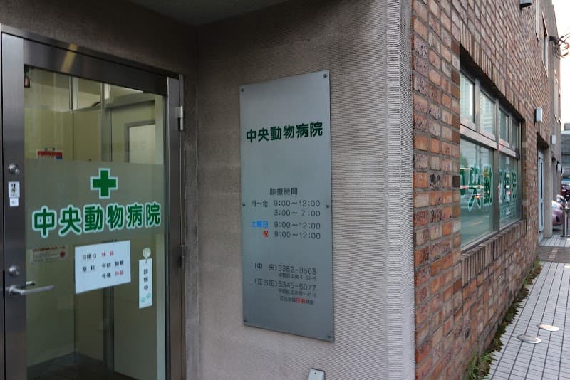 中央動物病院 中央