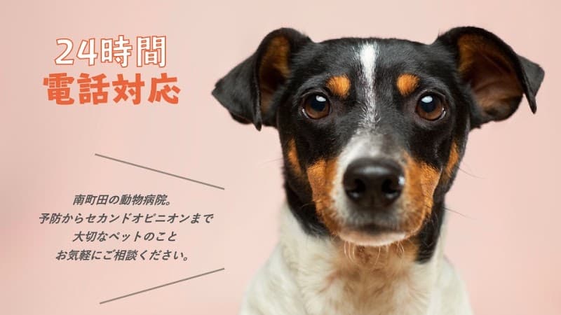 武相動物病院 -南町田-