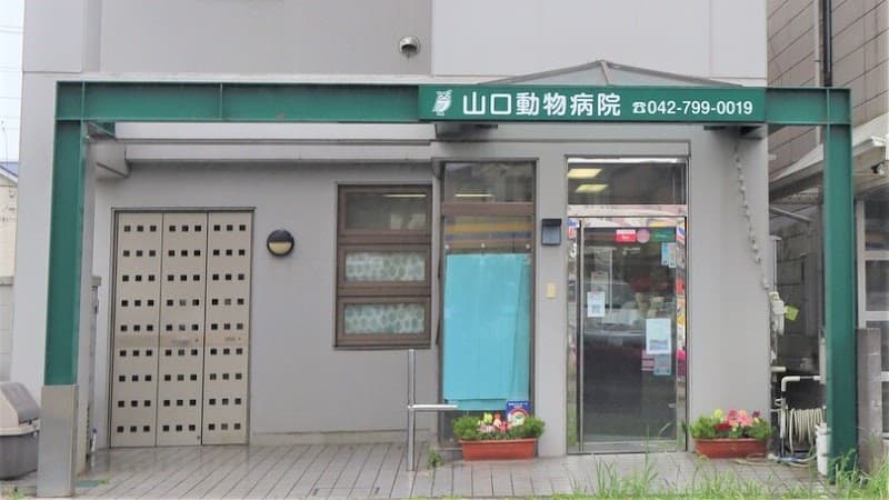 山口動物病院