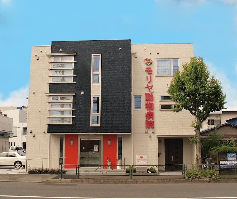 モリヤ動物病院 中町センター病院