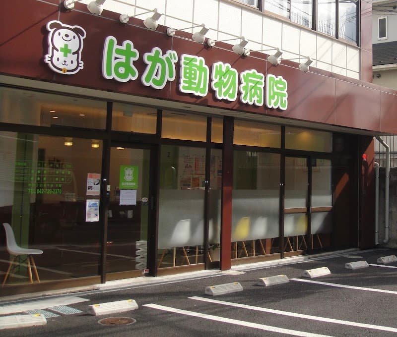 はが動物病院