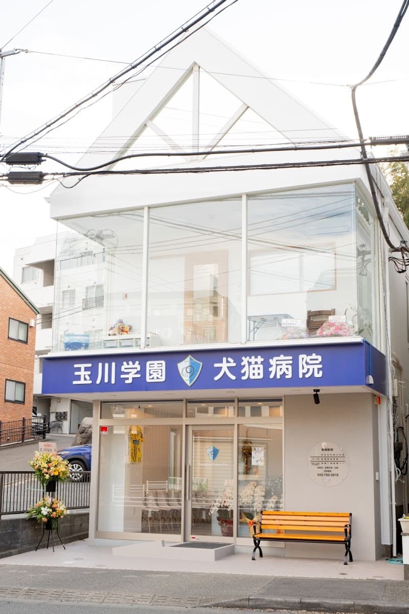玉川学園犬猫病院