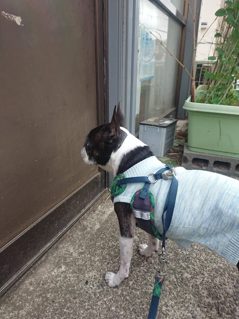 飯塚動物病院