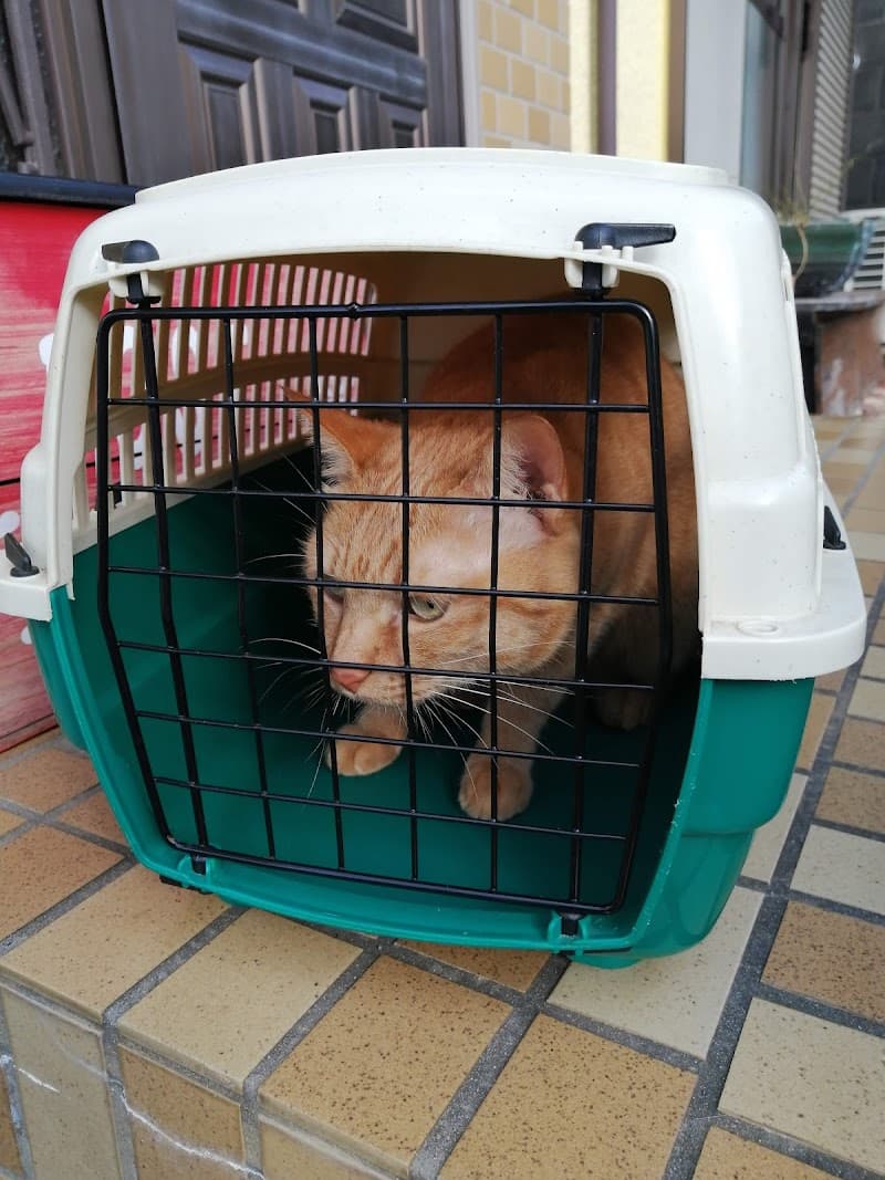 小森どうぶつ病院