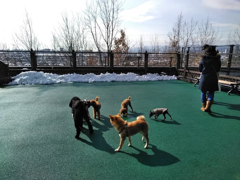 アスク動物病院