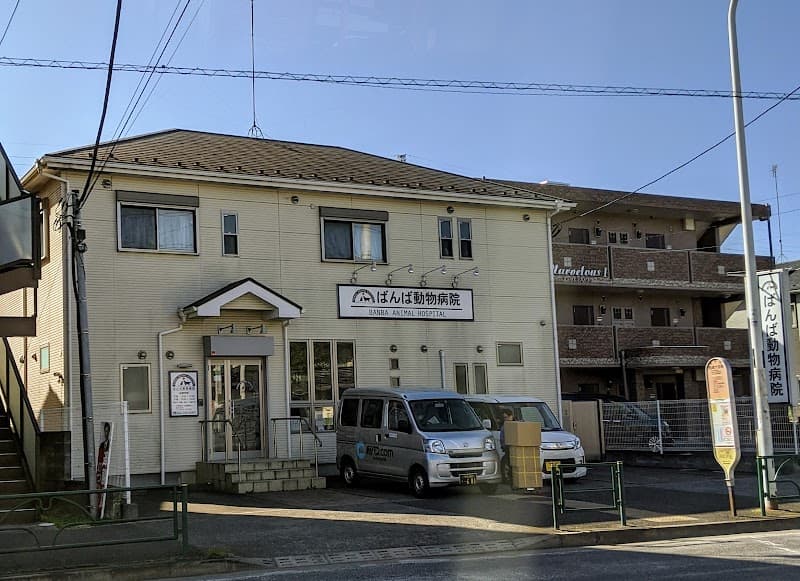 ばんば動物病院