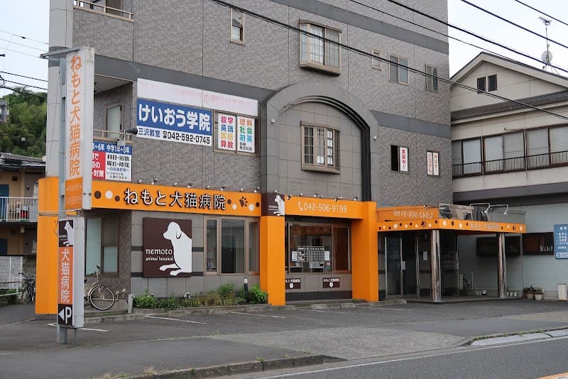 ねもと犬猫病院