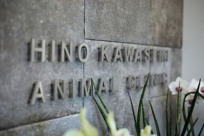 日野カワセミどうぶつ病院