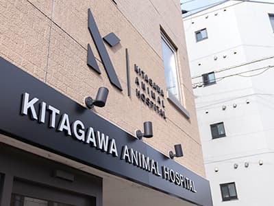 北川犬猫病院