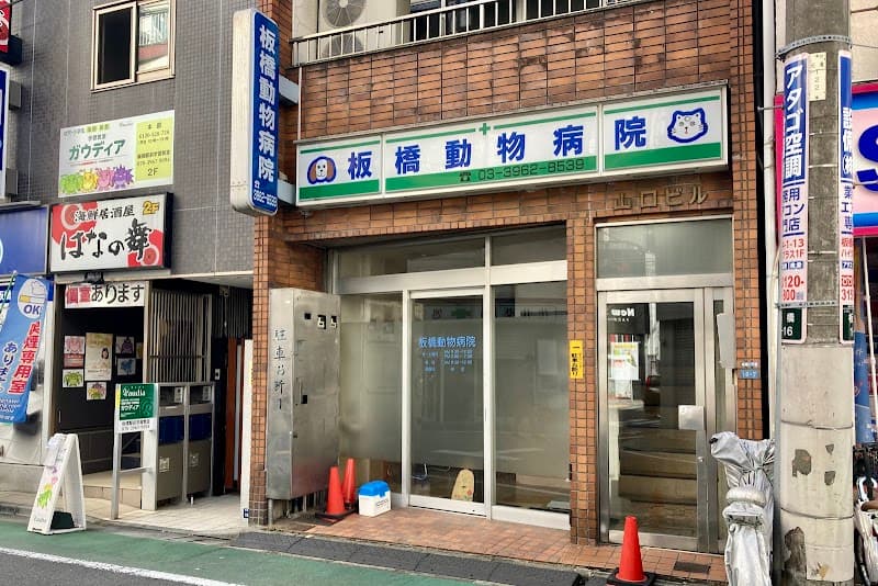 板橋動物病院