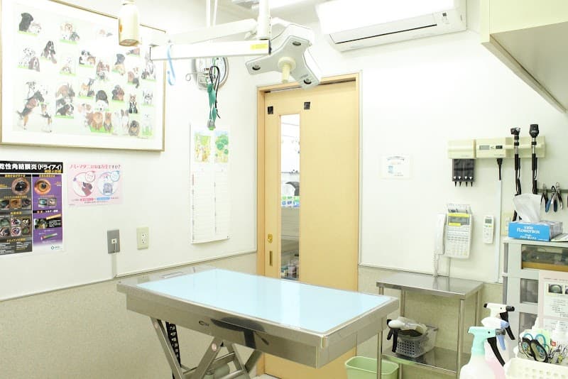 池田動物病院