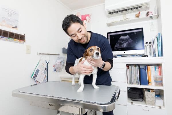 古谷動物病院