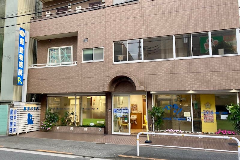 星動物病院