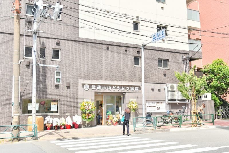武蔵小山どうぶつ病院