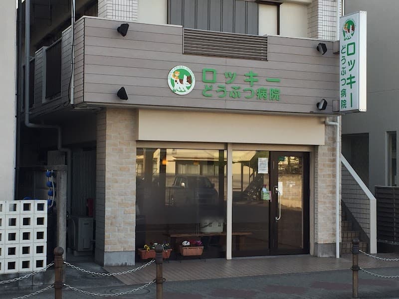 ロッキーどうぶつ病院