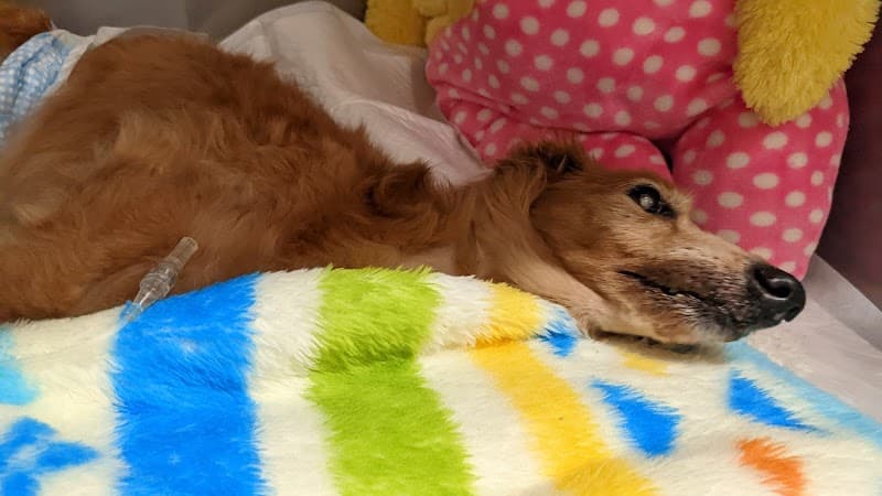 サンシティ動物病院