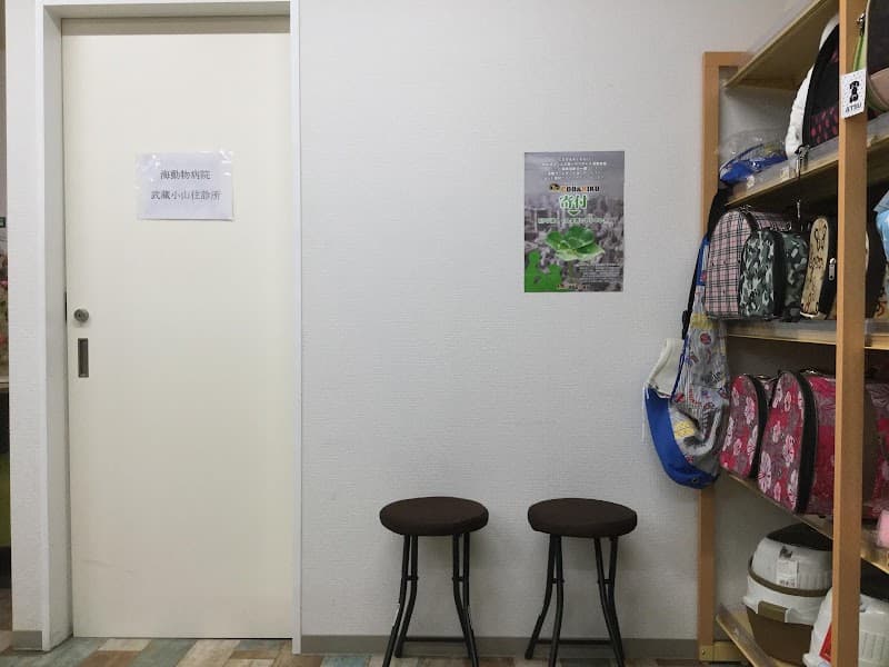 海動物病院 武蔵小山往診所