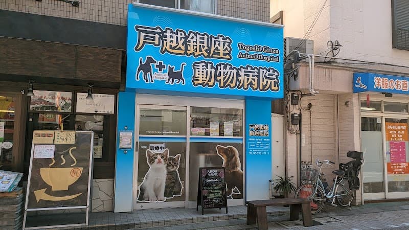 SKG 戸越銀座動物病院