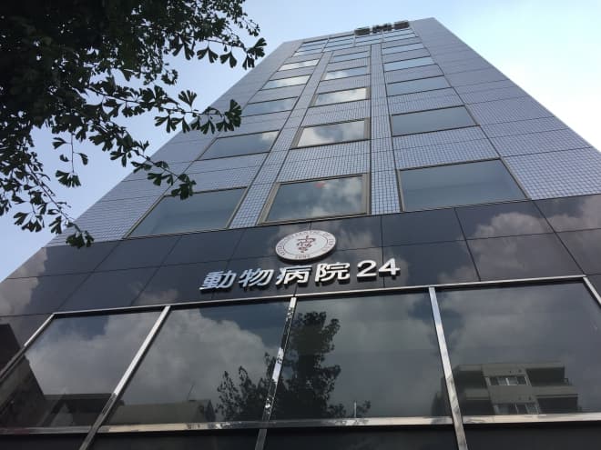 東京動物病院24