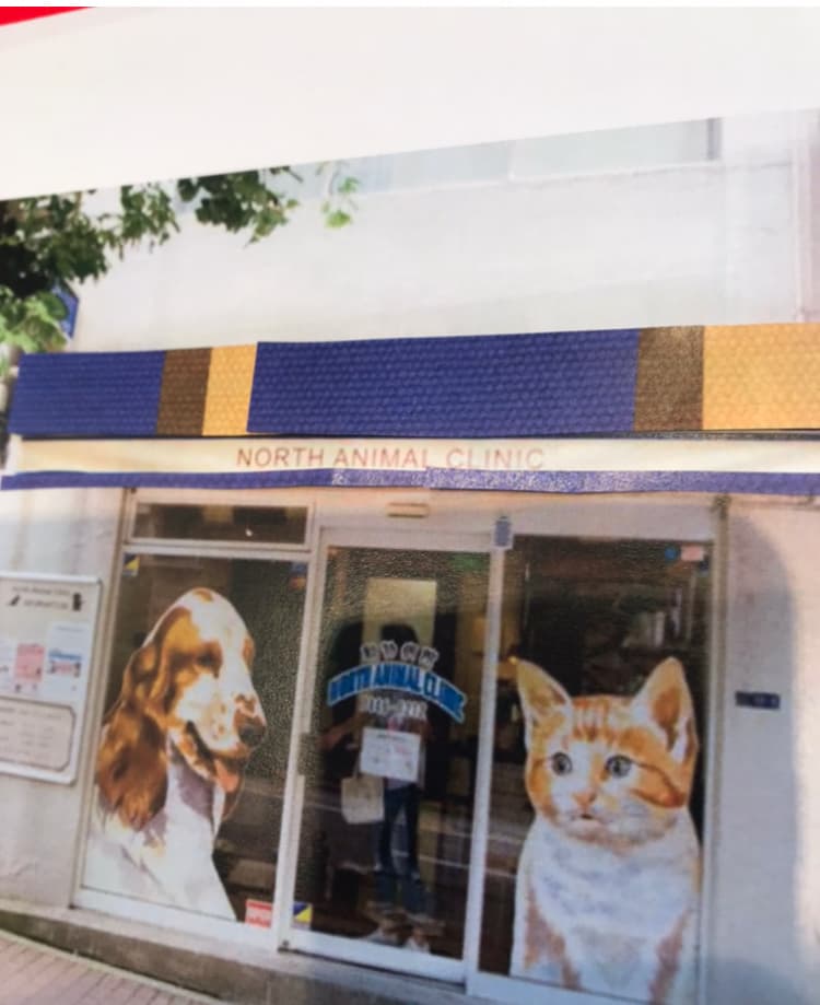 ノースアニマルクリニック