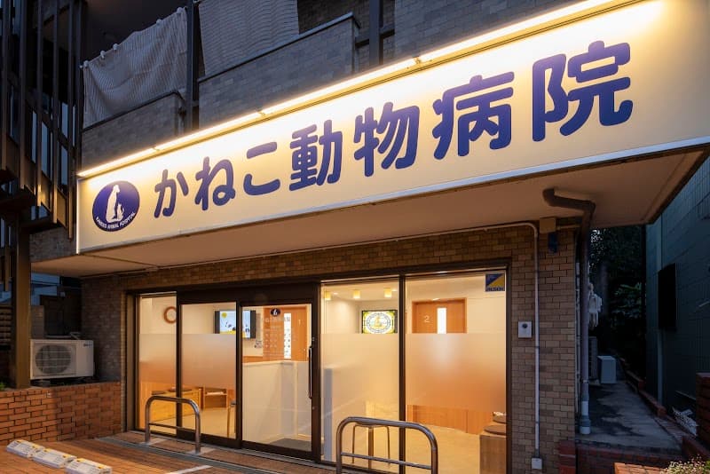 かねこ動物病院