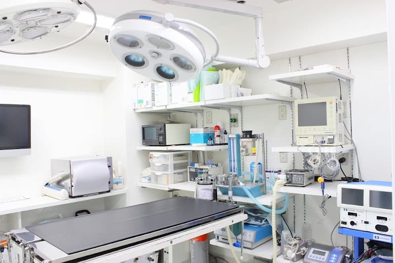 大井町どうぶつ病院