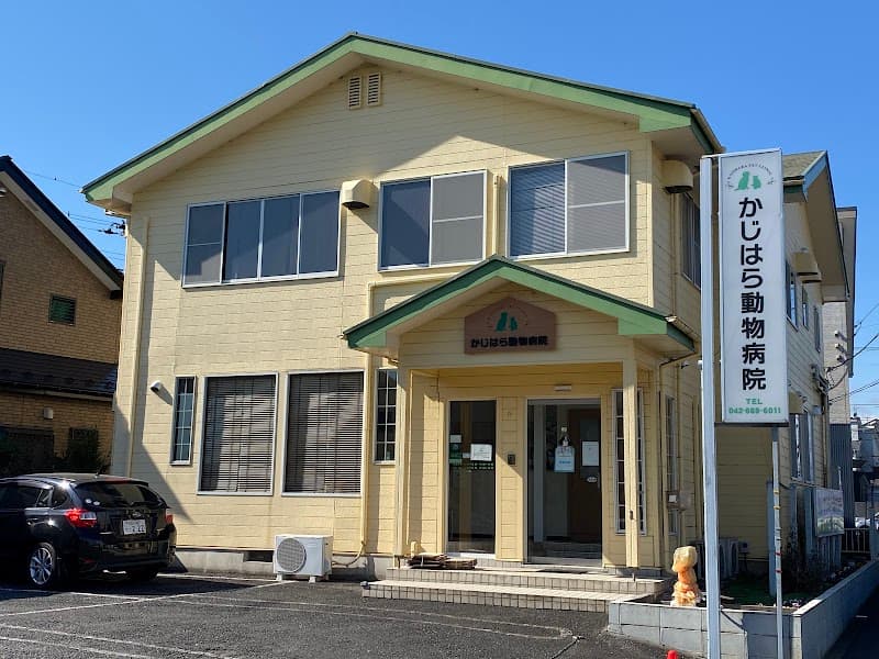 かじはら動物病院